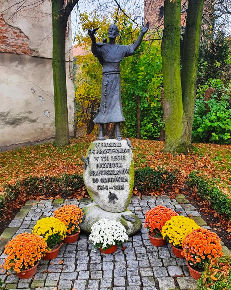 Głogówek ukwiecony - zdjęcia kwiatów w Głogówku